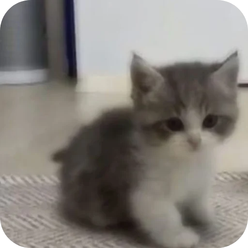 Sticker Nabor_ot_mm2r_4m - 1