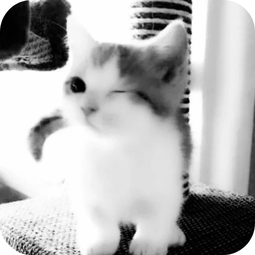 Sticker Nabor_ot_mm2r_4m - 1