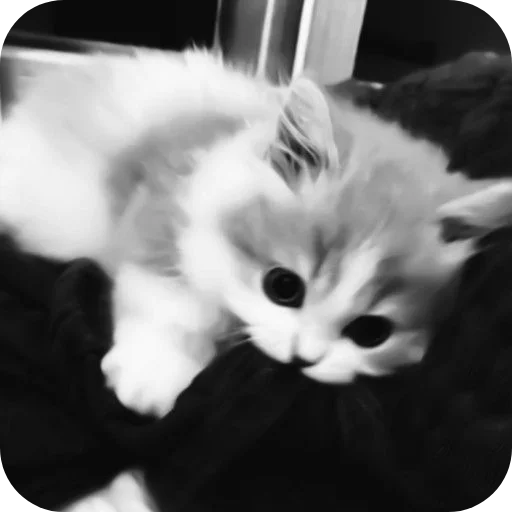 Sticker Nabor_ot_mm2r_4m - 1