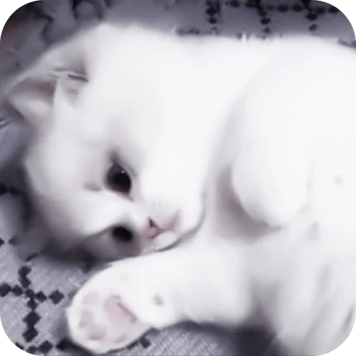 Sticker Nabor_ot_mm2r_4m - 1