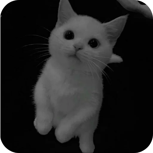 Набор от  @mm2r_4m - 