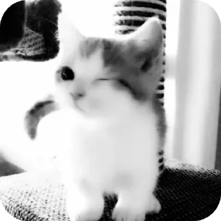 Sticker Набор от  @mm2r_4m - 7