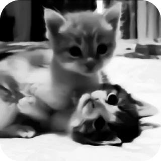 Sticker Набор от  @mm2r_4m - 1