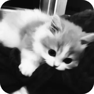 Sticker Набор от  @mm2r_4m - 6