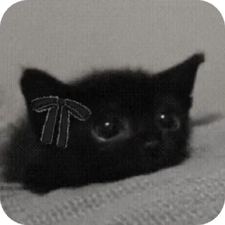 Sticker Набор от  @mm2r_4m - 5