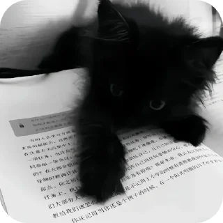 Sticker Набор от  @mm2r_4m - 11