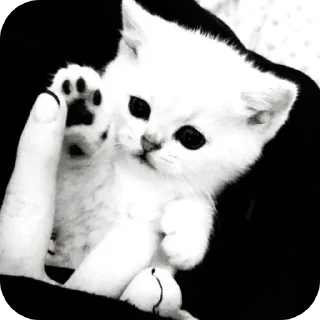 Sticker Набор от  @mm2r_4m - 9