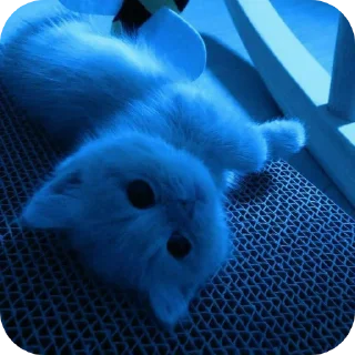 Sticker Набор от  @mm2r_4m - 10