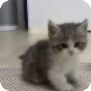 Sticker Набор от  @mm2r_4m - 8