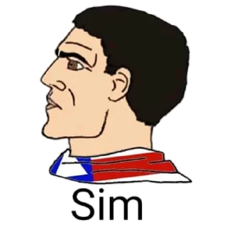 Sticker Nacional-Pardista - 10