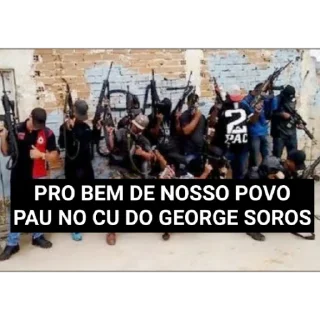 Sticker Nacional-Pardista - 9