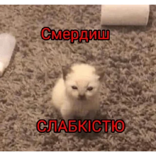 Sticker Стикеры Надмира - 6