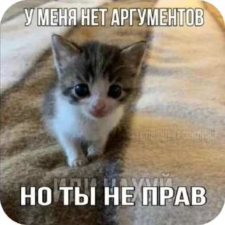 Стикер Нахуй писька хуй говно - 10