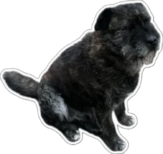 Стикер Naida - 6