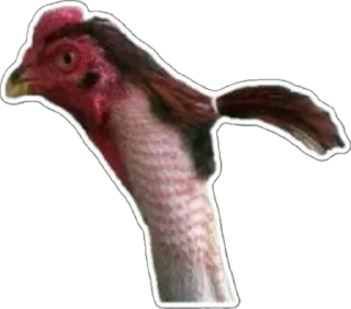 Стикер Naida - 3