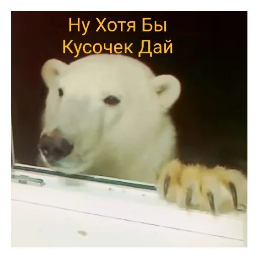 Sticker Наилютейшие медведи - 7