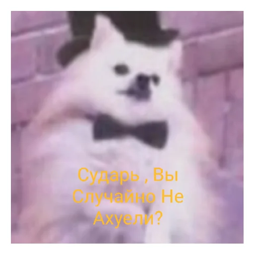 Sticker Наилютейшие медведи - 3