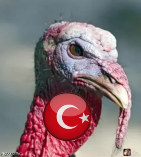 Sticker نجاسات @Qonshubot - 11