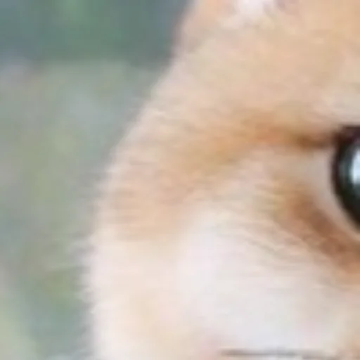 Стикер Najmi66 - 1