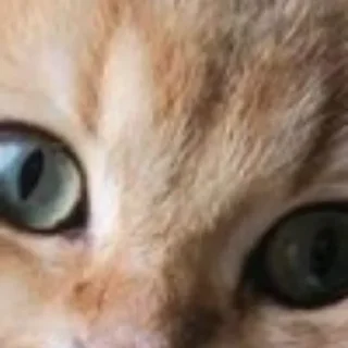 Sticker @chatt23 НАШ ЧАТ - 3