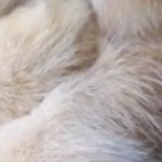 Sticker @chatt23 НАШ ЧАТ - 10