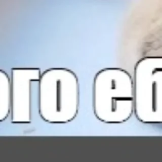 Sticker @chatt23 НАШ ЧАТ - 2