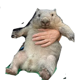 Sticker Найс - 10