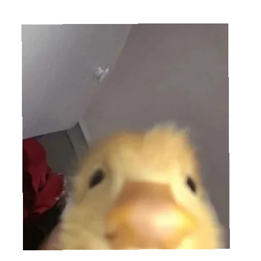 Sticker Nanasssssss - 1