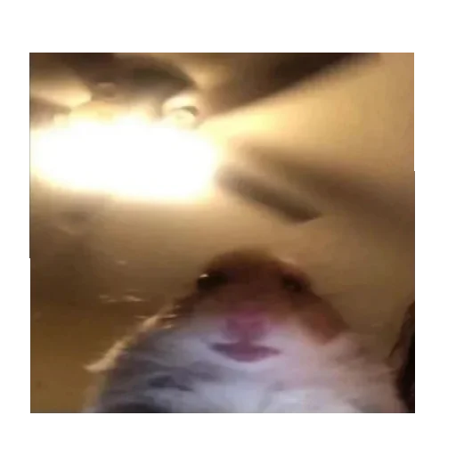 Sticker Nanasssssss - 1