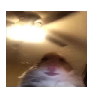 Стикер На - 8