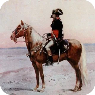 Sticker Напик муж по жизни - 3