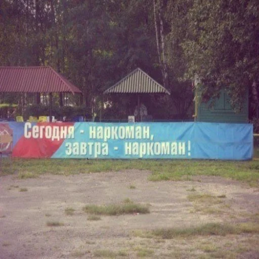 на открытом воздухе дерево трава