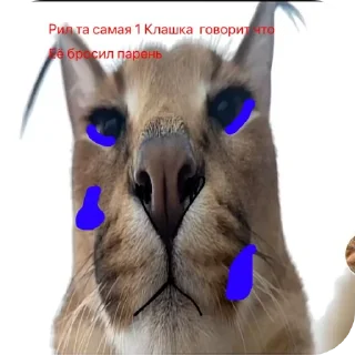 Стикер Наркомания 🥰 ( рандом фото с пин и с галереи) - 5