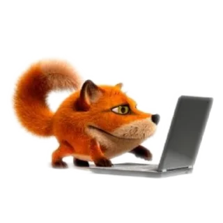 fox computer laptop