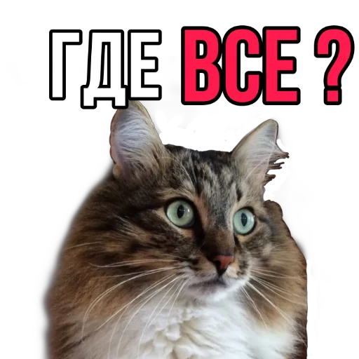 Стикер Narniaaaa - 1