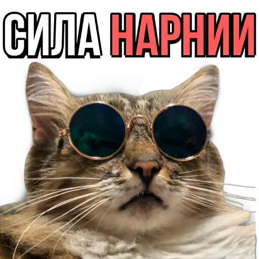 Sticker Narniaaaa - 1