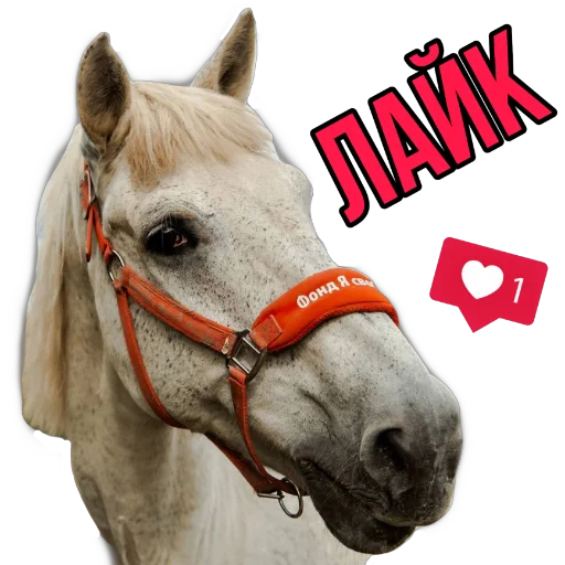 Sticker Narniaaaa - 1