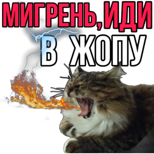 Sticker Narniaaaa - 1