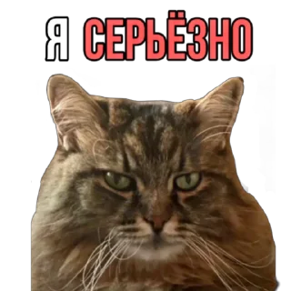 Sticker Нарния - 1