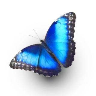 Sticker Энтомология @fruitworldavtor - 5