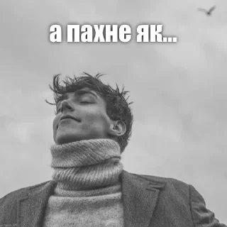 Sticker Юра Насонов супримаси - 8