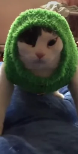 Sticker Nastcats - 1