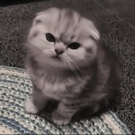 Стикер Nastcats - 1