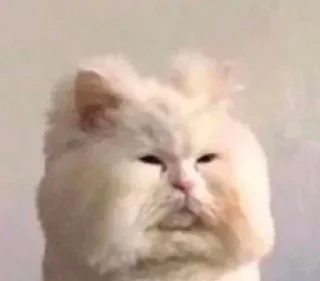 Sticker nastcats - 8