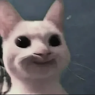 Sticker nastcats - 2