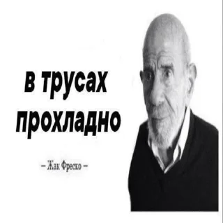 Sticker Лютый乁ʕ •̀ ۝ •́ ʔㄏ - 4