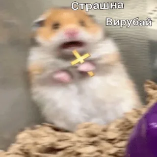 Sticker Лютый乁ʕ •̀ ۝ •́ ʔㄏ - 2