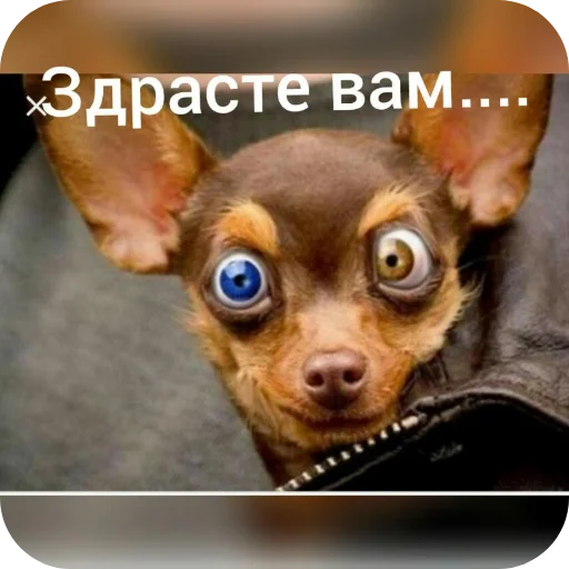 Настроение☆ - 