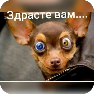 Стикер Настроение☆ - 8