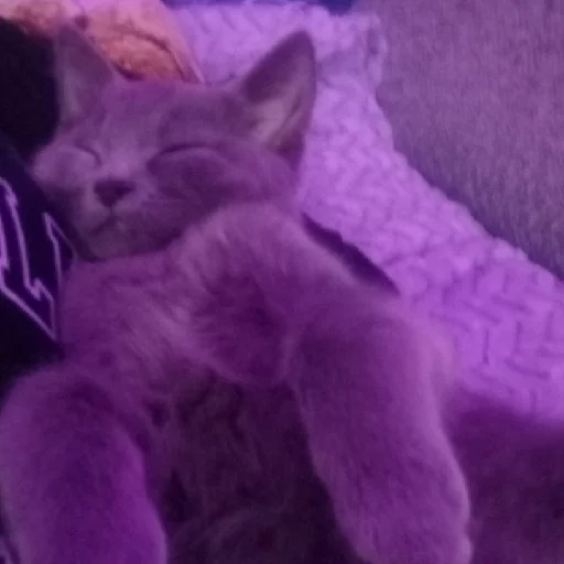 Sticker Nastya_lox_i - 1